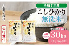 ＜令和7年産米先行受付＞ 大蔵村産 こしひかり 【無洗米】 定期便 30kg （10kg×1ヶ月間隔で3回お届け）＜配送時期選べます＞