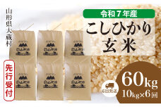 ＜令和7年産米先行受付＞ 大蔵村産 こしひかり 【玄米】 60kg定期便 （10kg×6回発送）＜配送時期選べます＞