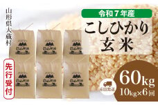 ＜令和7年産米先行受付＞ 大蔵村産 こしひかり 【玄米】 60kg定期便 （10kg×6回発送）＜配送時期選べます＞