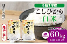 ＜令和7年産米先行受付＞ 大蔵村産 こしひかり 【白米】 定期便 60kg （10kg×1ヶ月間隔で6回お届け）＜配送時期選べます＞