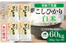 ＜令和7年産米先行受付＞ 大蔵村産 こしひかり 【白米】 定期便 60kg （20kg×２ヶ月間隔で3回お届け）＜配送時期選べます＞