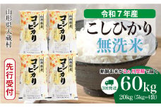 ＜令和7年産米先行受付＞ 大蔵村産 こしひかり 【無洗米】 定期便 60kg （20kg×2ヶ月間隔で3回お届け）＜配送時期選べます＞