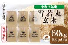 ＜令和7年産米先行受付＞ 大蔵村産 雪若丸 【玄米】 60kg定期便 （10kg×6回発送）＜配送時期選べます＞