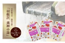 山形県鮭川村　温泉の素「羽根沢　美神の湯」