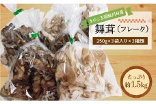 きのこ王国鮭川村産 ［舞茸 （フレーク）］ 約1.5kg（約250g×3袋入×2種類）