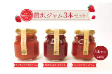 いちご農家さんが作る贅沢ジャム 　３本セット