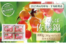 【令和7年産 早期受付】 鮭川村産さくらんぼ ＜佐藤錦＞ M～Lサイズ混合 フードパック800g（200g×4P）