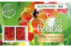 【令和7年産 早期受付】 鮭川村産さくらんぼ ＜佐藤錦＞ Lサイズ以上バラ詰め 700g