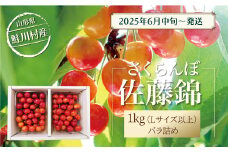【令和7年産 早期受付】 鮭川村産さくらんぼ ＜佐藤錦＞ Lサイズ以上バラ詰め 1kg（500g×2P）