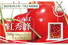 【令和7年産 早期受付】 鮭川村産さくらんぼ ＜紅秀峰＞ 特秀2Lサイズ以上バラ詰め 500g