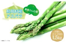 農家さん応援！！鮭川村産 アスパラガス 不揃いサイズ MIX 1.5kg
