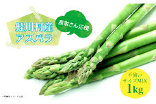 農家さん応援！！鮭川村産 アスパラガス 不揃いサイズ MIX 1kg