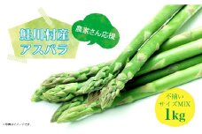 農家さん応援！！鮭川村産 アスパラガス 不揃いサイズ MIX 1kg