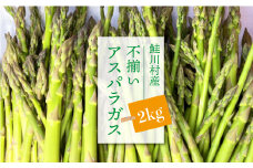 鮭川村産　不揃いアスパラガス　2kg