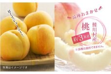 鮭川村産「桃」品種おまかせ 　約3kg