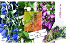 鮭川村産りんどう　MIX(青紫・白・ピンク)2～3色　40本入り