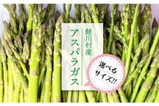 <Mサイズ：2.6kg＞　鮭川村産　アスパラガス