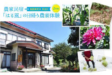 農家民宿「はる風」の日帰り農家体験（2名様昼食付）