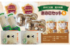 きのこ王国　鮭川村産　きのこセット（S）