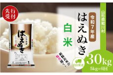 ＜令和7年産米先行受付＞ 鮭川村 はえぬき 【白米】 定期便 30kg （5kg×1ヶ月間隔で6回お届け）＜配送時期選べます＞