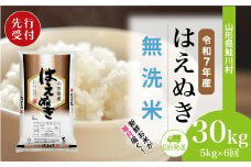 ＜令和7年産米先行受付＞ 鮭川村 はえぬき 【無洗米】 定期便 30kg （5kg×1ヶ月間隔で6回お届け）＜配送時期選べます＞