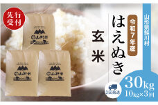 ＜令和7年産米先行受付＞ 鮭川村 はえぬき 【玄米】 30kg定期便 （10kg×3回発送）＜配送時期選べます＞