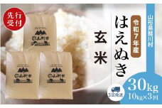 ＜令和7年産米先行受付＞ 鮭川村 はえぬき 【玄米】 30kg定期便 （10kg×3回発送）＜配送時期選べます＞