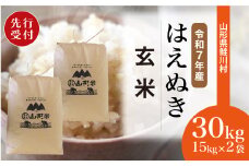 ＜令和7年産米先行受付＞ 鮭川村 はえぬき 【玄米】 30kg （15kg×2袋）＜配送時期選べます＞【沖縄県・離島への配送不可】