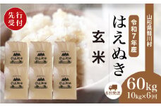＜令和7年産米先行受付＞ 鮭川村 はえぬき 【玄米】 60kg定期便 （10kg×6回発送）＜配送時期選べます＞