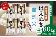＜令和7年産米先行受付＞ 鮭川村 はえぬき 【無洗米】 定期便 60kg （20kg×2ヶ月間隔で3回お届け）＜配送時期選べます＞