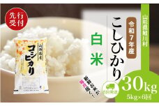 ＜令和7年産米先行受付＞ 鮭川村 コシヒカリ 【白米】 定期便 30kg （5kg×1ヶ月間隔で6回お届け）＜配送時期選べます＞