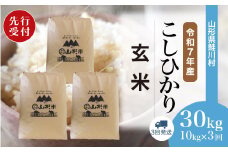 ＜令和7年産米先行受付＞ 鮭川村 コシヒカリ 【玄米】 30kg定期便 （10kg×3回発送）＜配送時期選べます＞