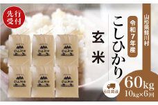 ＜令和7年産米先行受付＞ 鮭川村 コシヒカリ 【玄米】 60kg定期便 （10kg×6回発送）＜配送時期選べます＞