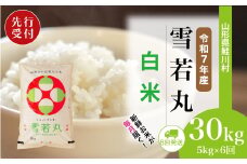 ＜令和7年産米先行受付＞ 鮭川村 雪若丸 【白米】 定期便 30kg （5kg×1ヶ月間隔で6回お届け）＜配送時期選べます＞