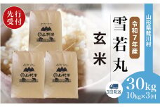 ＜令和7年産米先行受付＞ 鮭川村 雪若丸 【玄米】 30kg定期便 （10kg×3回発送）＜配送時期選べます＞