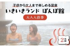 いきいきランド ぽんぽ館 大人入浴券 2枚 F7W-0024