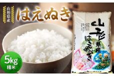 令和6年度 山形県産 はえぬき 5kg 精米 白米 お米 米 ご飯 ごはん ブランド米 2024年産 令和6年 家庭用 自宅用 贈答用 お取り寄せ 食品 山形県 戸沢村 F7W-0090