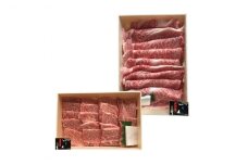 牛肉 2回 連続 定期便 米沢牛 食べ比べ すき焼き 焼き肉 用 各500g 計1kg [肉の斎院 山形県 高畠町 tk06ays780002] ビーフ 牛 肉 すきやき 焼肉 焼き肉 にく 米沢