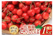 【期間限定発送】 さくらんぼ 置賜産 佐藤錦 特秀 L～2L バラ詰 1kg [JA山形おきたま 山形県 高畠町 tk06ays870047] サクランボ チェリー 山形 果物 フルーツ くだもの