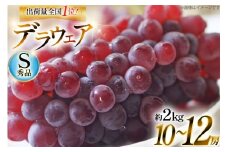 【期間限定発送】 ぶどう デラウェア 秀品 10～12房 約 2kg [安達敏幸 山形県 高畠町 tk06ays830007] 種無し ブドウ 葡萄 くだもの 果物 フルーツ 産地直送 農家直送