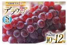 【期間限定発送】 ぶどう デラウェア 秀品 10～12房 約 2kg [安達敏幸 山形県 高畠町 tk06ays830007] 種無し ブドウ 葡萄 くだもの 果物 フルーツ 産地直送 農家直送