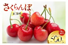 【期間限定発送】 さくらんぼ 紅秀峰 2L サイズ バラ 500g [四釜昌和 山形県 高畠町 tk06ayt020004] サクランボ チェリー 果物 フルーツ くだもの