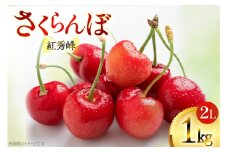 【期間限定発送】 さくらんぼ 紅秀峰 2L サイズ バラ 1kg [四釜昌和 山形県 高畠町 tk06ayt020003] サクランボ チェリー 果物 フルーツ くだもの