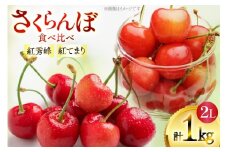 【期間限定発送】 さくらんぼ 食べ比べセット 2L サイズ バラ 紅秀峰 紅てまり 各 500g 計1kg [四釜昌和 山形県 高畠町 tk06ayt020000] サクランボ チェリー 果物 フルーツ くだもの