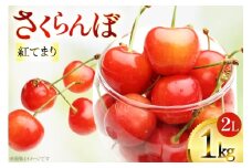 【期間限定発送】 さくらんぼ 紅てまり 2L サイズ バラ 1kg [四釜昌和 山形県 高畠町 tk06ayt020001] サクランボ チェリー 果物 フルーツ くだもの