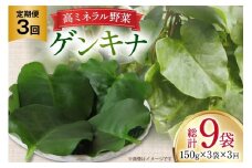ゲンキナ 150g 3p 3回 定期便 総計9P [よねおりかんこうセンター 山形県 高畠町 tk06ays760009] 野菜 やさい 腸活 オカワカメ