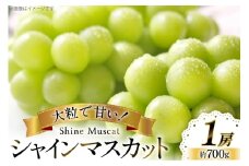 【期間限定発送】 シャインマスカット 1房 約700g [大野農園 山形県 高畠町 tk06ayt050003] ぶどう ブドウ 葡萄 マスカット 大粒 種なし 果物 フルーツ くだもの