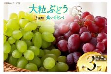 【期間限定発送】 ピオーネ シャインマスカット 2種 食べ比べ セット 計2kg [四釜昌和 山形県 高畠町 tk06ayt020006] ぶどう ブドウ 葡萄 マスカット 大粒 種なし 果物 フルーツ くだもの