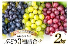 【期間限定発送】 ぶどう 3種詰合せ 約2kg [大野農園 山形県 高畠町 tk06ayt050004] 化粧箱 ぶどう ブドウ 葡萄 大粒 果物 くだもの フルーツ