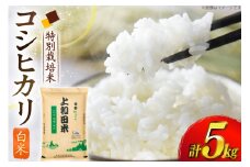 米 令和7年度 特別栽培米 コシヒカリ 白米 5kg [上和田有機米生産組合 山形県 高畠町 tk06ays640017] お米 精米 ブランド米 ごはん ご飯 おこめ 5キロ コシヒカリ 令和7年 令和7年産